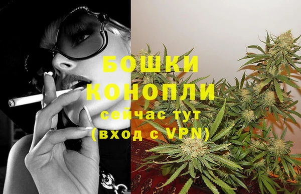мет Инта