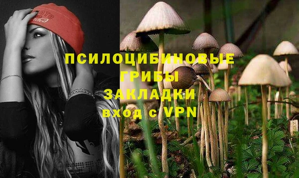 гашишное масло Инсар