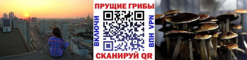 Купить закладки  Коммунар  Псилоцибиновые грибы Psilocybine cubensis 